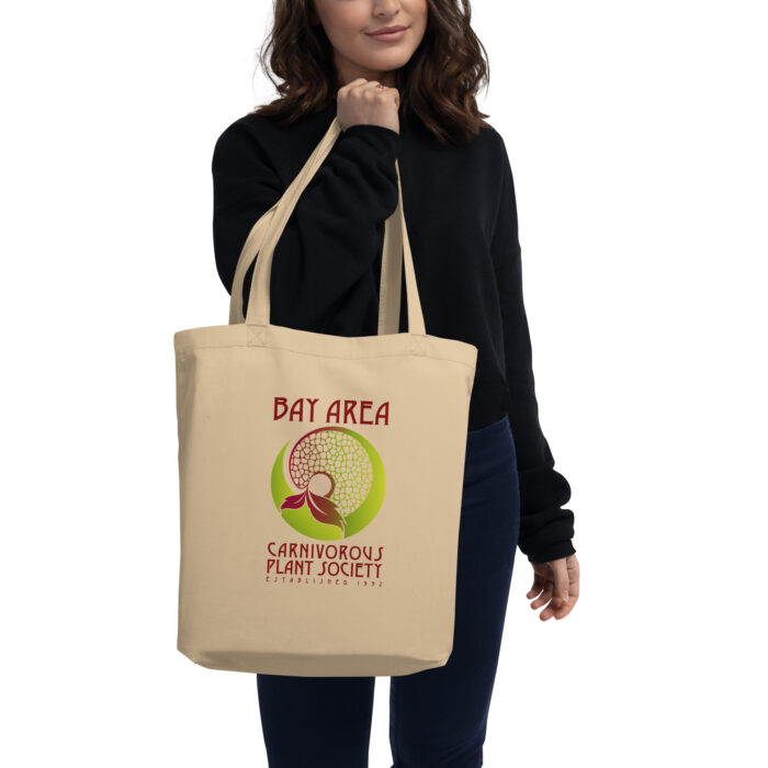 BACPS Logo Eco Tote Bag - Image 2