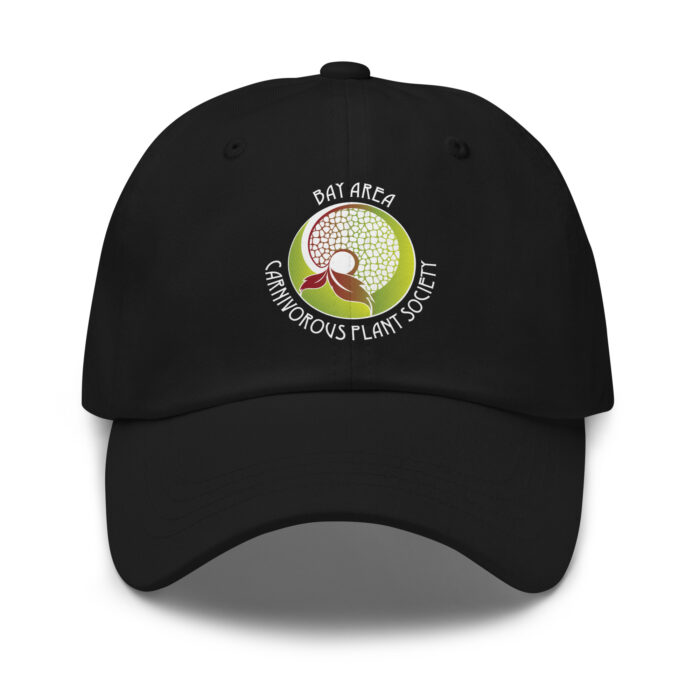 BACPS Logo Dad Hat