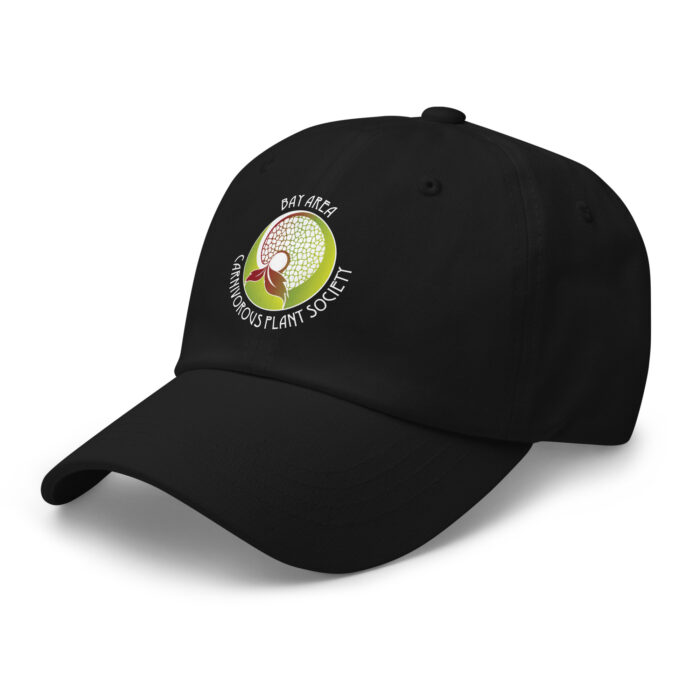BACPS Logo Dad Hat - Image 4