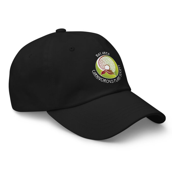 BACPS Logo Dad Hat - Image 3