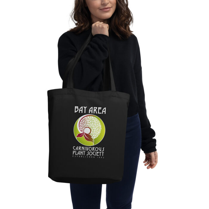 BACPS Logo Organic Eco Tote in black - Image 2