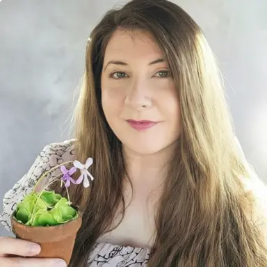 Emily Abramson 2026 Board