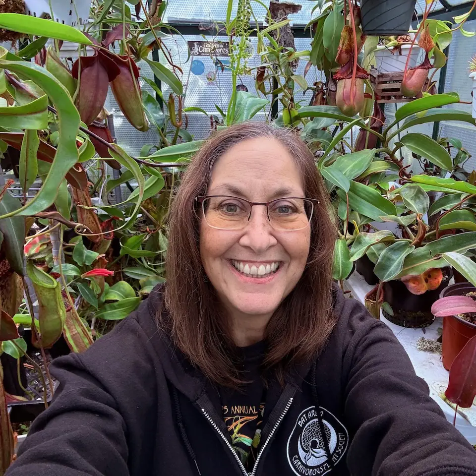 Kat Cascone 2026 Board